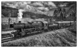 Transhumance de la 26.102