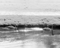 Winterimpressionen an der Mangfall