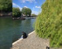 Square du Vert-Galant
