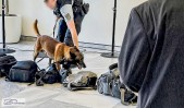 Benefizkonzert Bundespräsident 24.05.